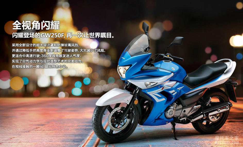 骊驰gw250f 摩托车图片